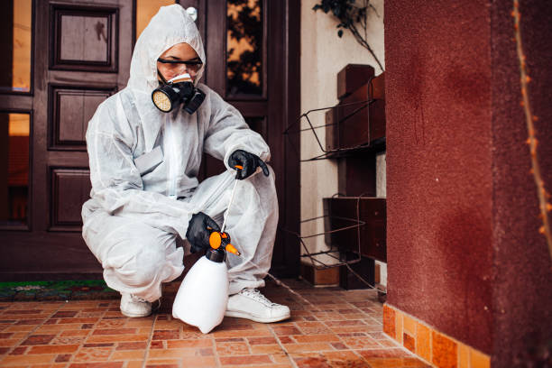 Reliable Ant Control contractor in Morada, CA by Nex Pest Control